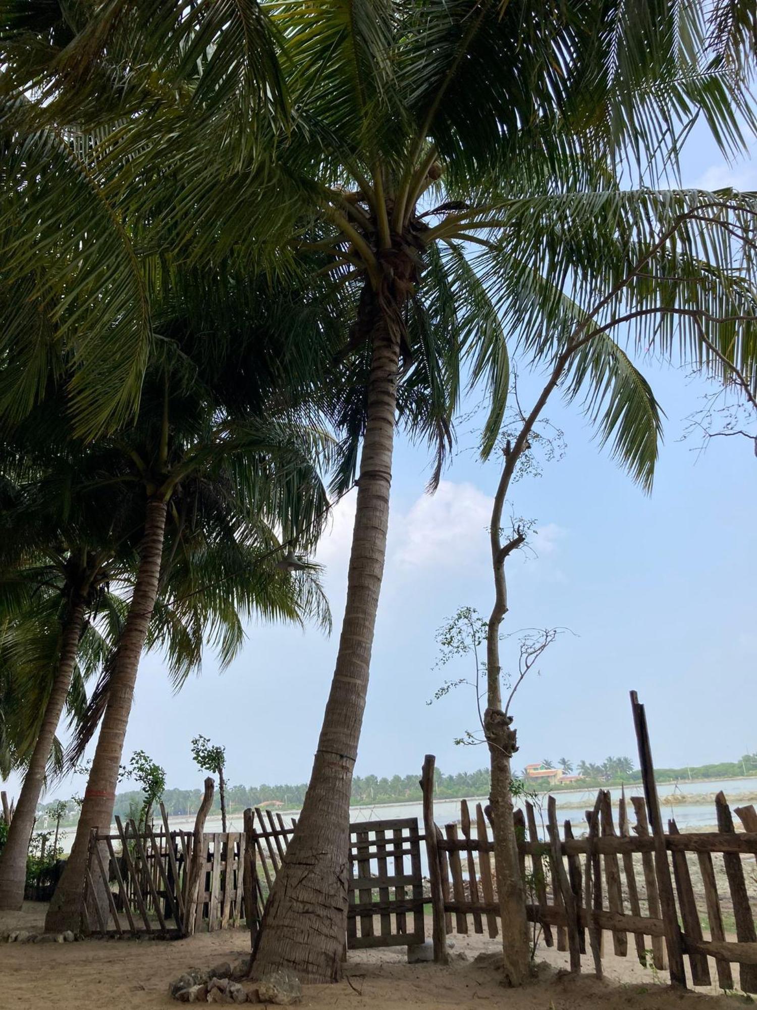 Kite Bay Villa Kalpitiya Exterior foto
